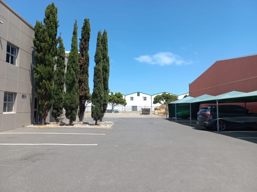 To Let commercial Property for Rent in Montague Gardens Western Cape